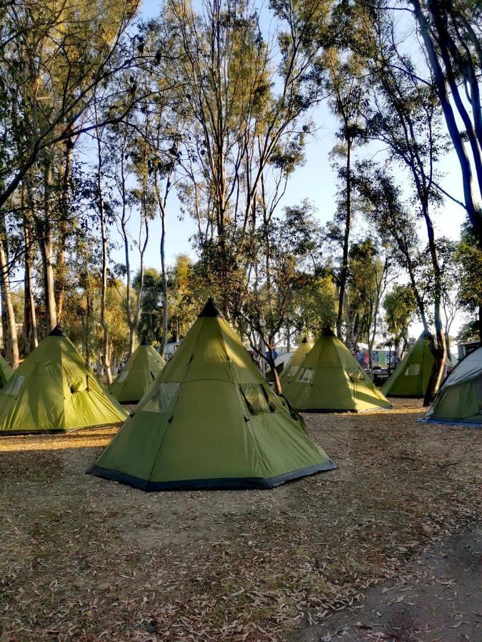 מלון איגומניטסה Camping Drepanos מראה חיצוני תמונה